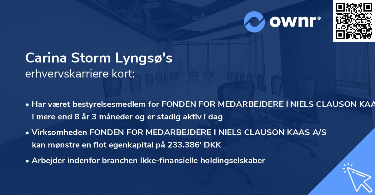Carina Storm Lyngsø's erhvervskarriere kort