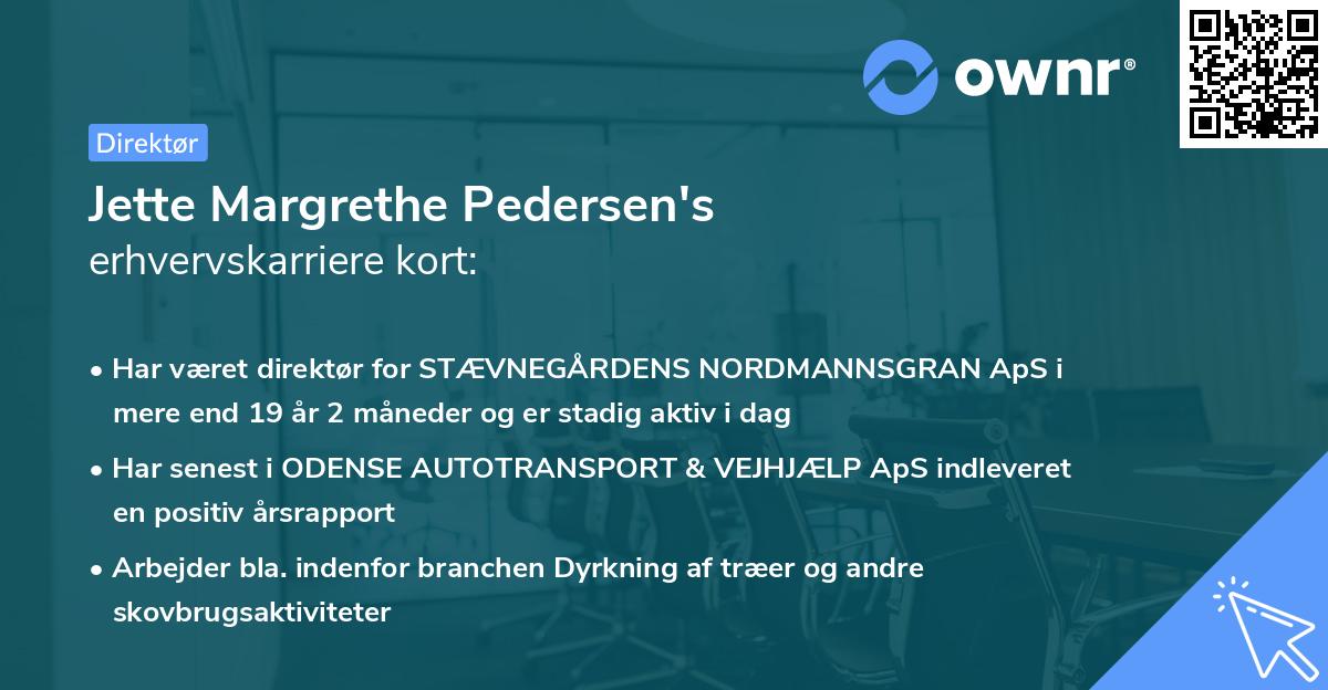 Jette Margrethe Pedersen's erhvervskarriere kort