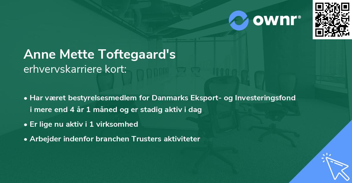 Anne Mette Toftegaard's erhvervskarriere kort
