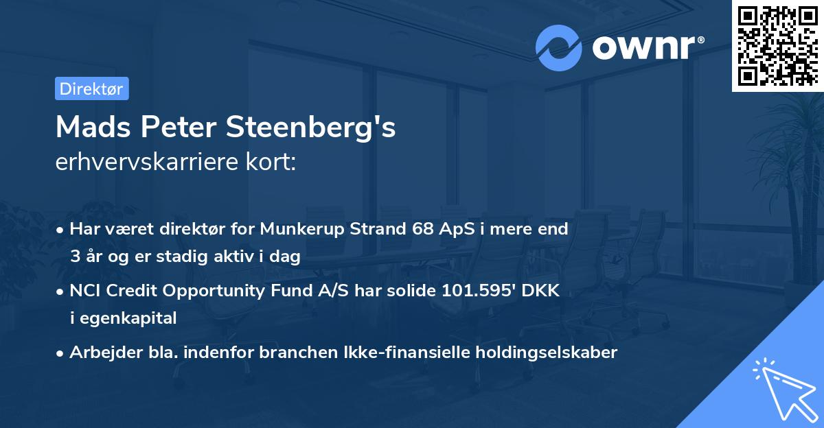 Mads Peter Steenberg's erhvervskarriere kort