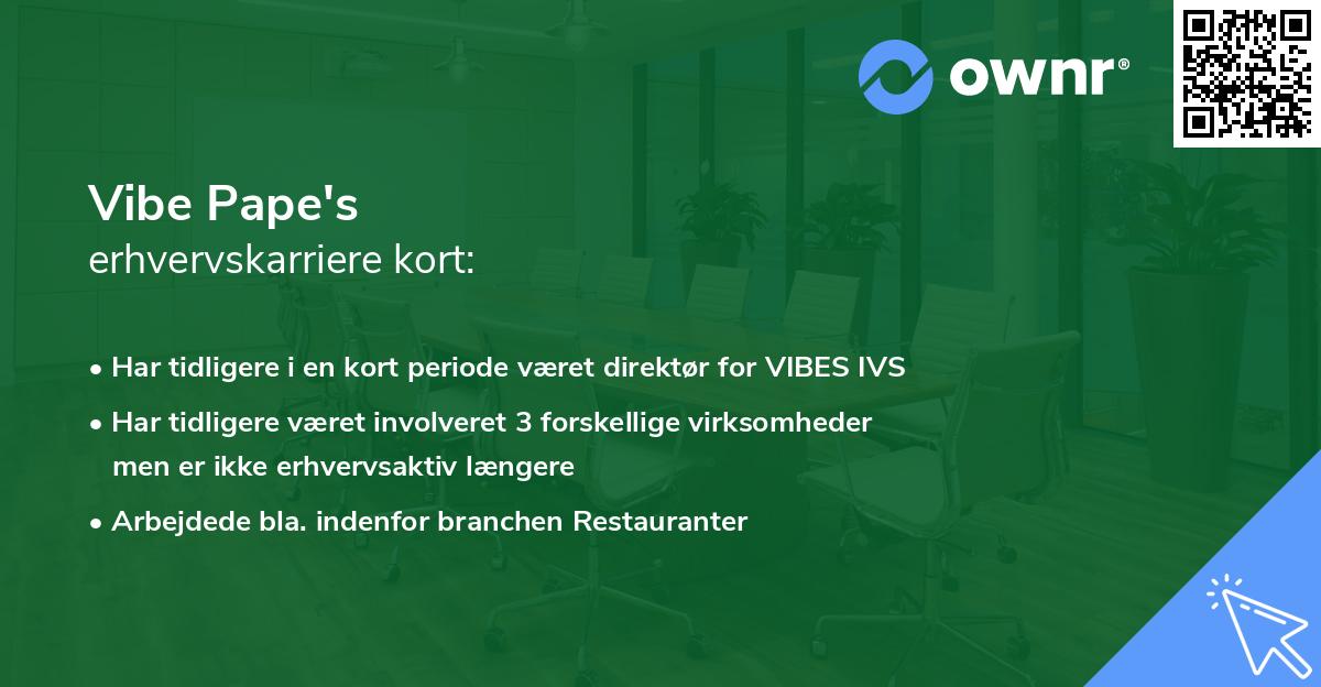 Vibe Pape's erhvervskarriere kort