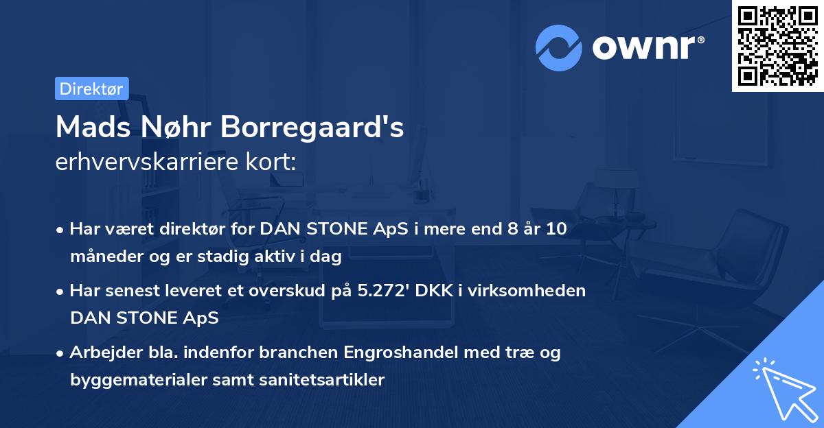 Mads Nøhr Borregaard's erhvervskarriere kort