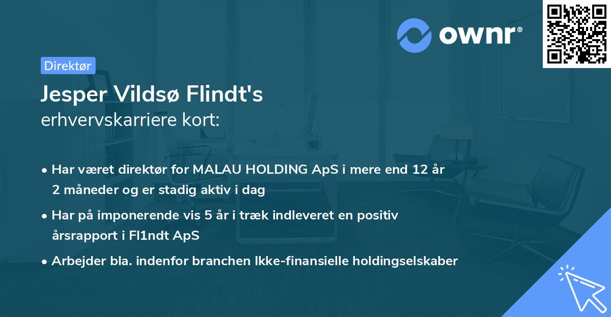 Jesper Vildsø Flindt's erhvervskarriere kort
