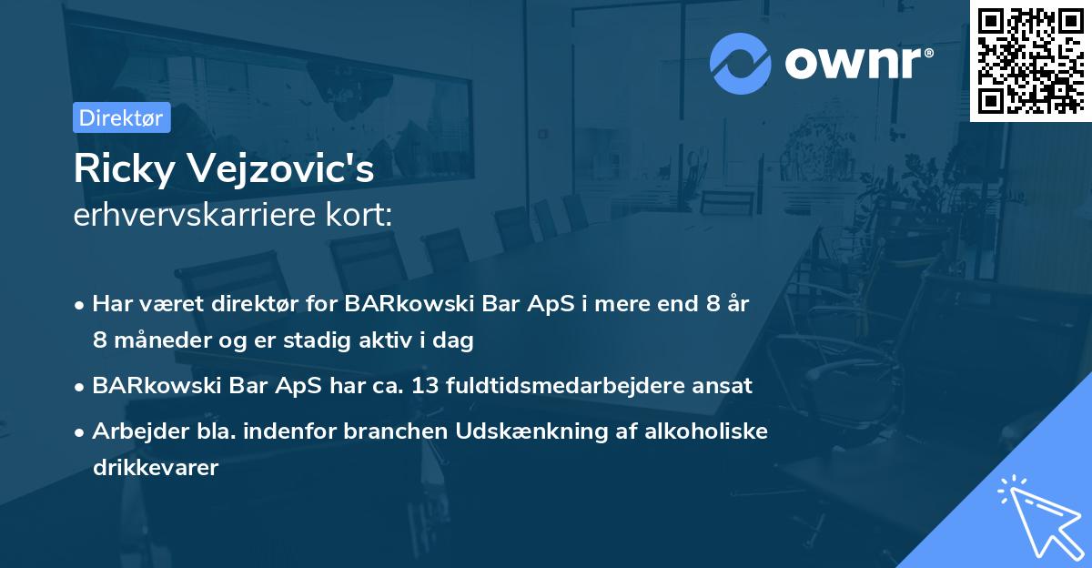 Ricky Vejzovic's erhvervskarriere kort