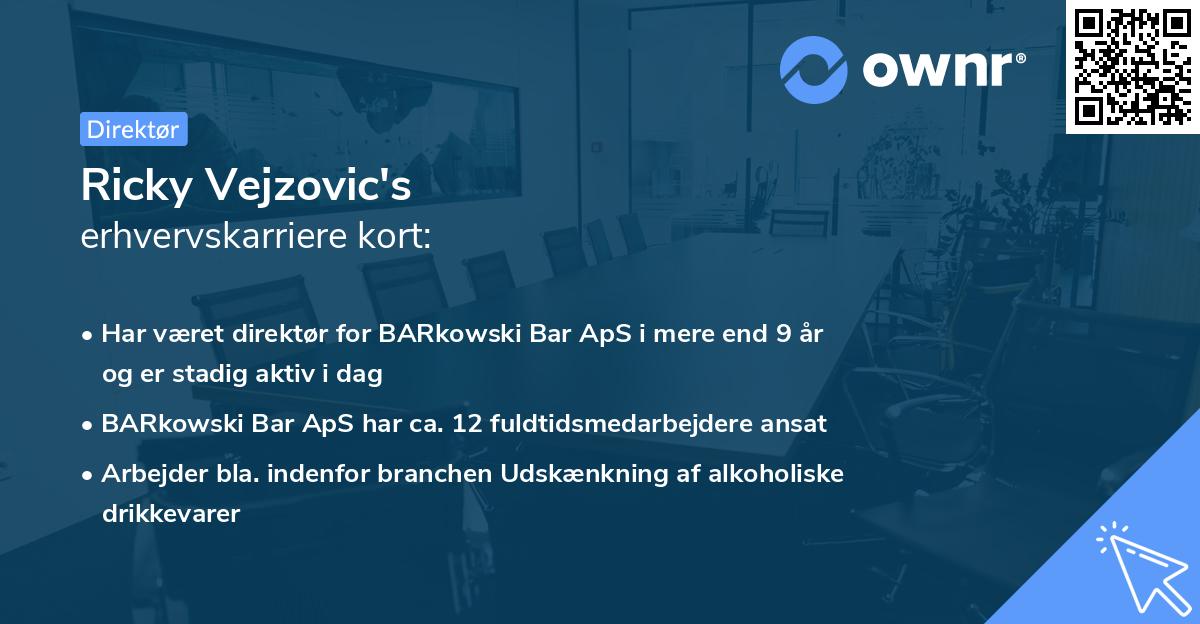 Ricky Vejzovic's erhvervskarriere kort