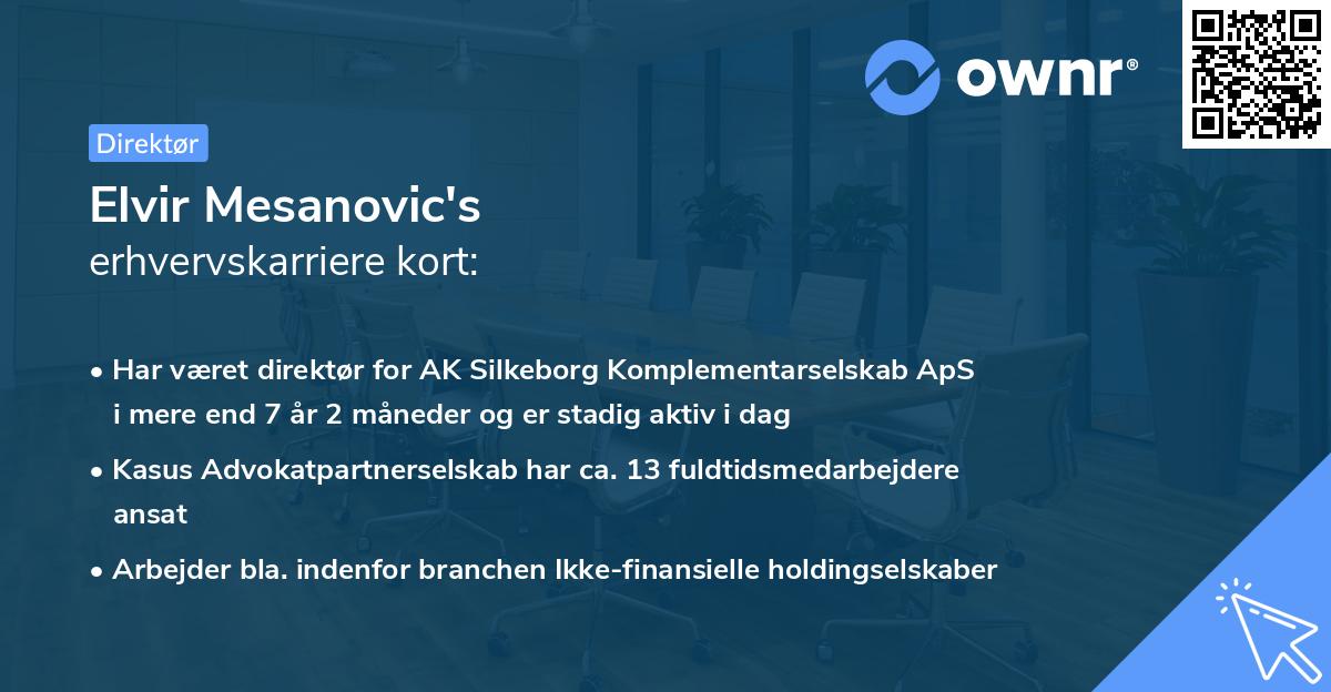 Elvir Mesanovic's erhvervskarriere kort