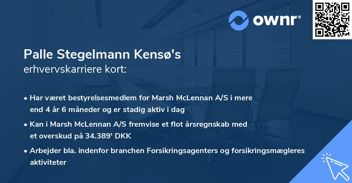 Palle Stegelmann Kensø's erhvervskarriere kort