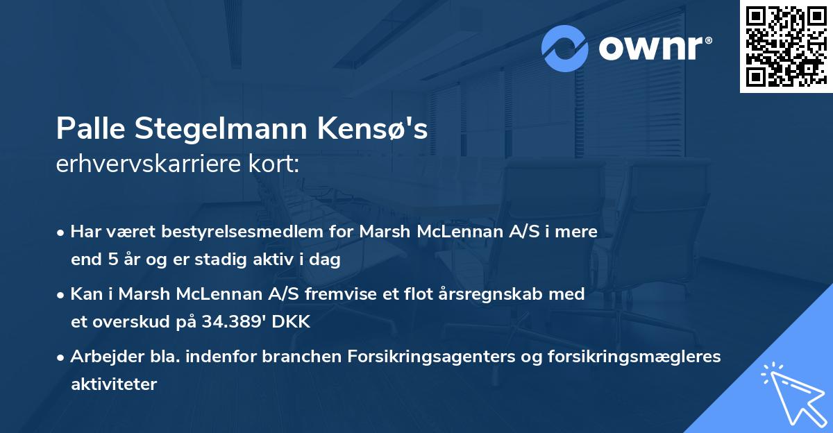Palle Stegelmann Kensø's erhvervskarriere kort