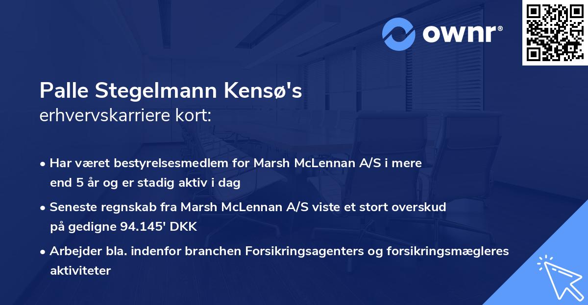 Palle Stegelmann Kensø's erhvervskarriere kort