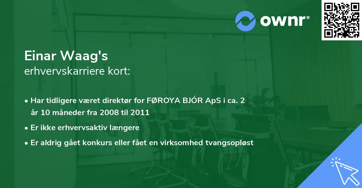Einar Waag's erhvervskarriere kort