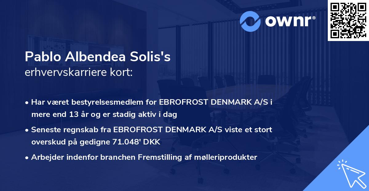 Pablo Albendea Solis's erhvervskarriere kort