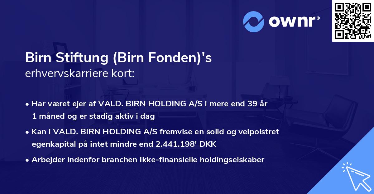 Birn Stiftung (Birn Fonden)'s erhvervskarriere kort