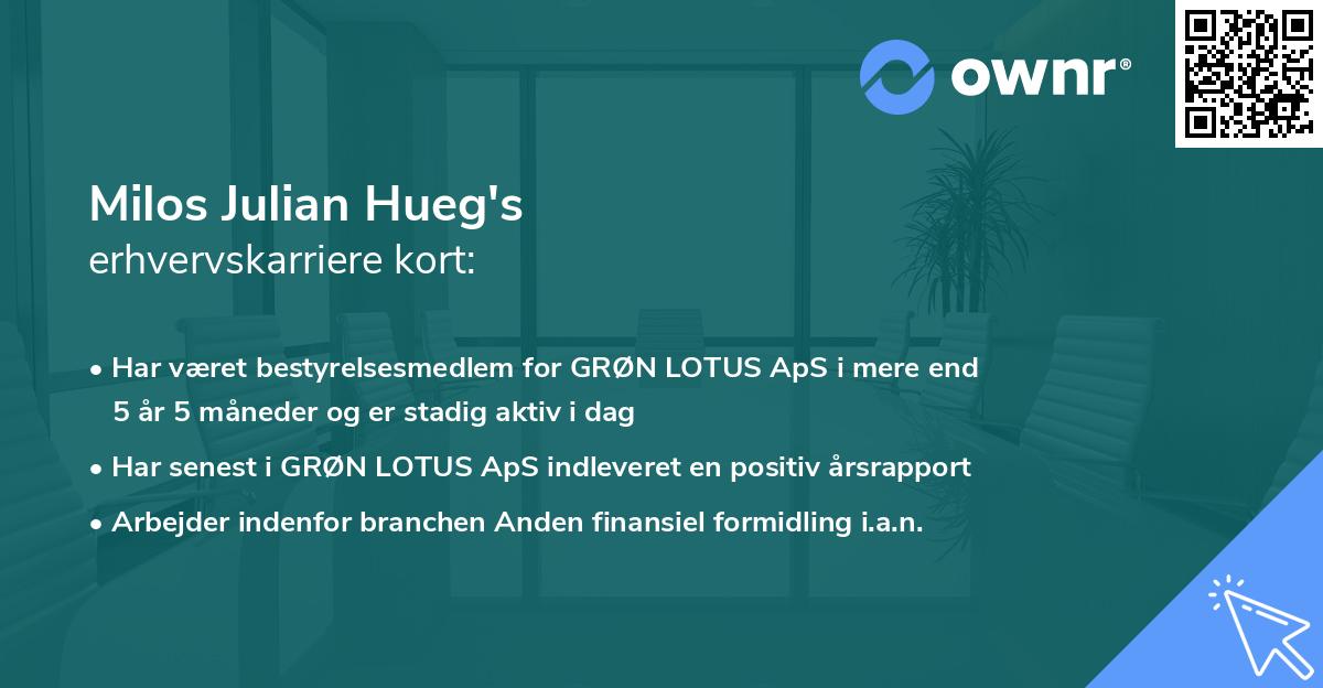 Milos Julian Hueg's erhvervskarriere kort