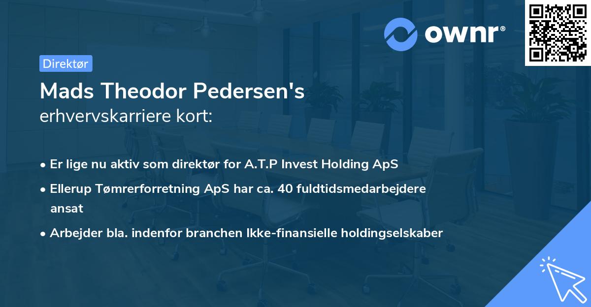 Mads Theodor Pedersen's erhvervskarriere kort