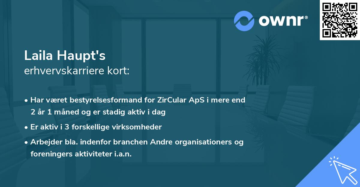 Laila Haupt's erhvervskarriere kort