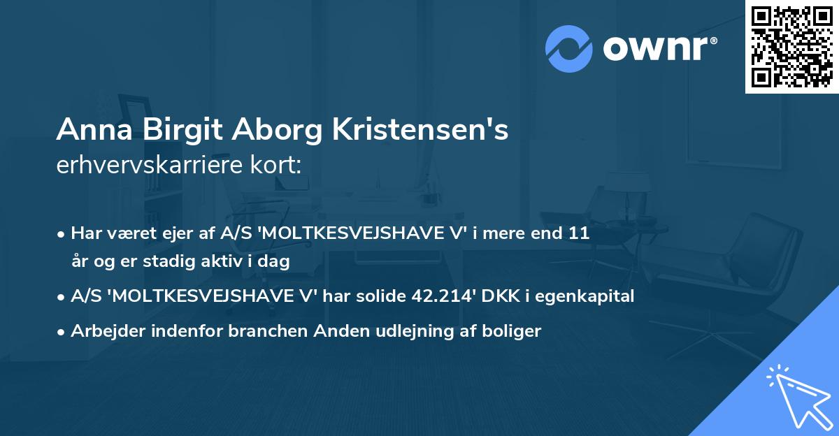 Anna Birgit Aborg Kristensen's erhvervskarriere kort
