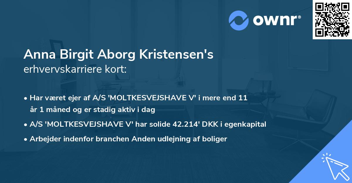 Anna Birgit Aborg Kristensen's erhvervskarriere kort
