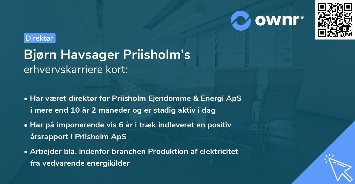 Bjørn Havsager Priisholm's erhvervskarriere kort