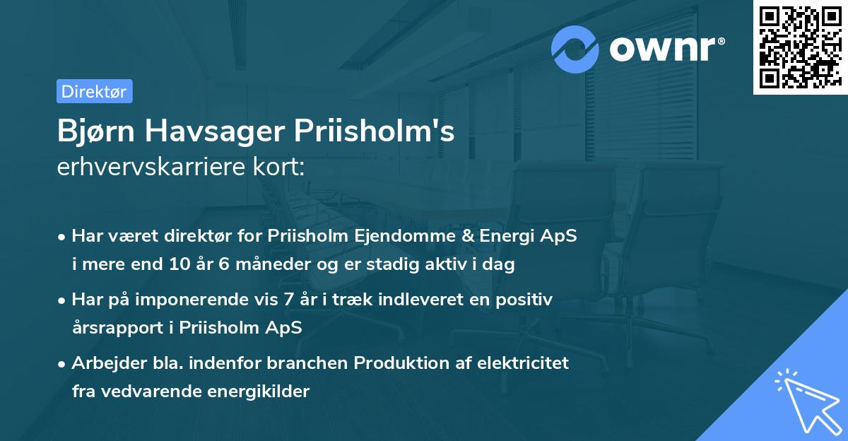Bjørn Havsager Priisholm's erhvervskarriere kort