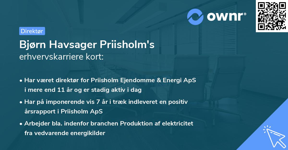 Bjørn Havsager Priisholm's erhvervskarriere kort