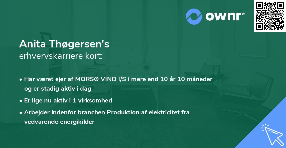 Anita Thøgersen's erhvervskarriere kort