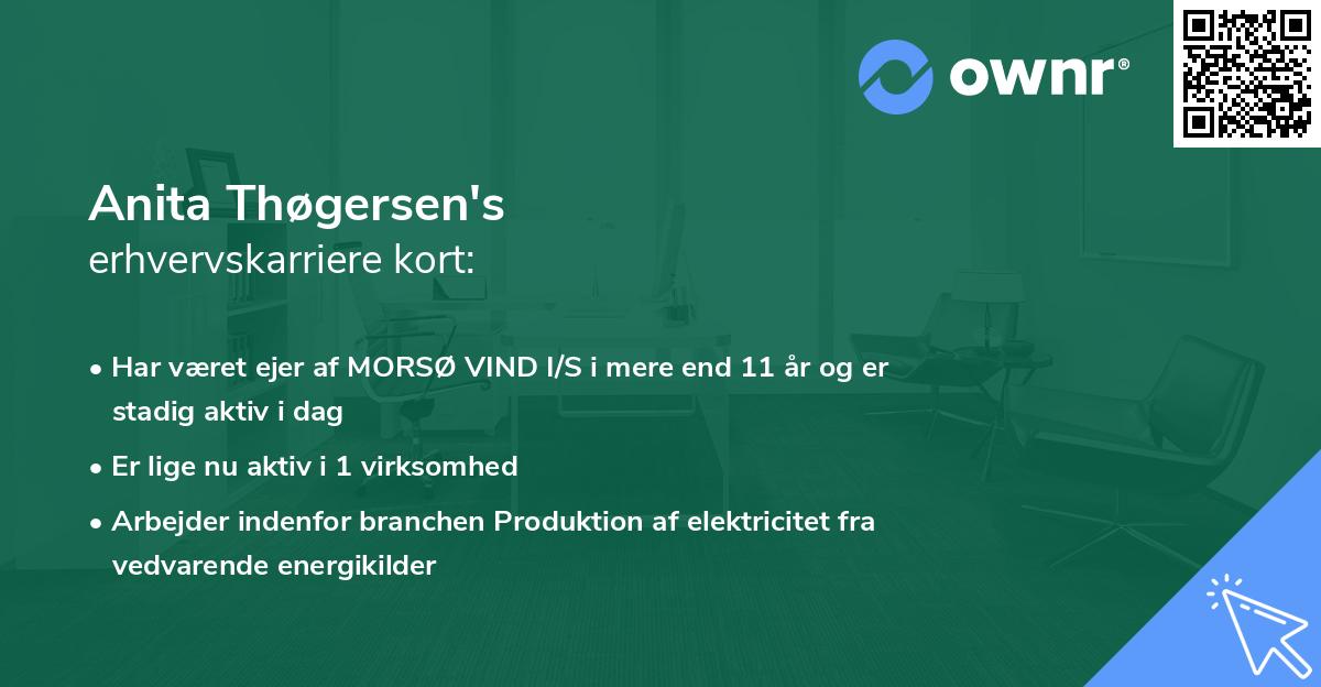 Anita Thøgersen's erhvervskarriere kort