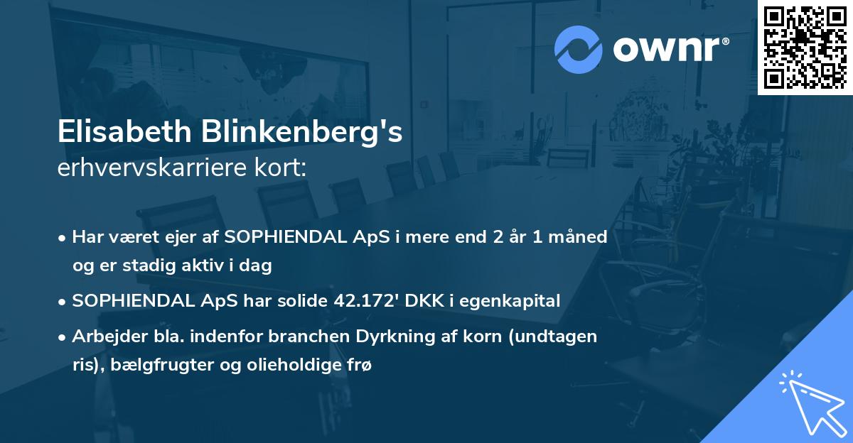 Elisabeth Blinkenberg's erhvervskarriere kort