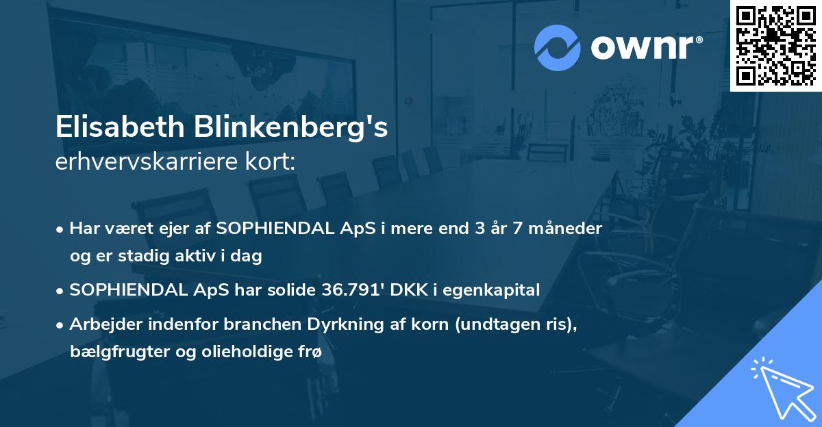 Elisabeth Blinkenberg's erhvervskarriere kort