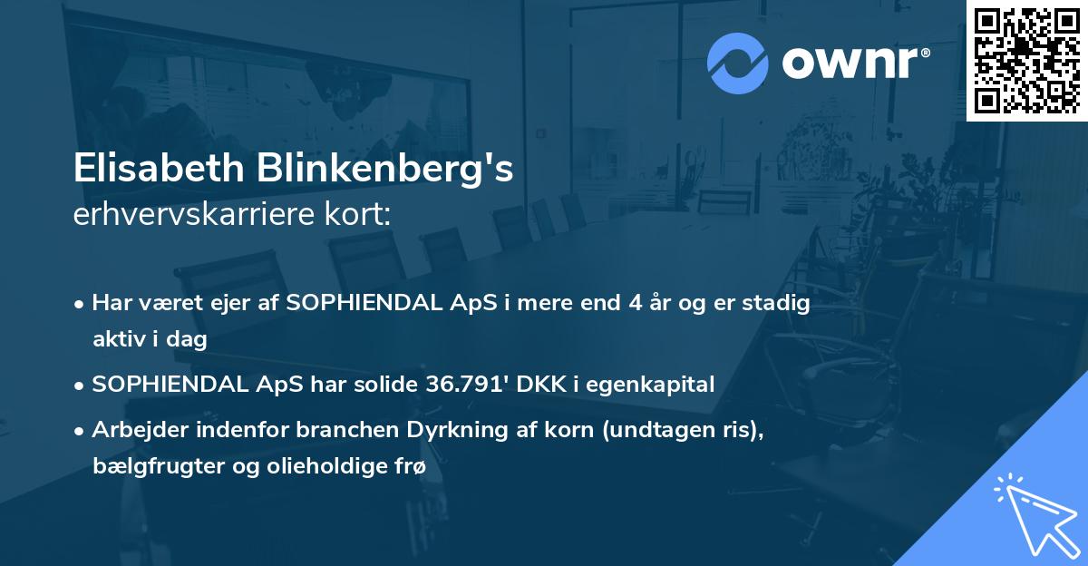 Elisabeth Blinkenberg's erhvervskarriere kort