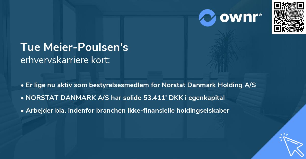 Tue Meier-Poulsen's erhvervskarriere kort
