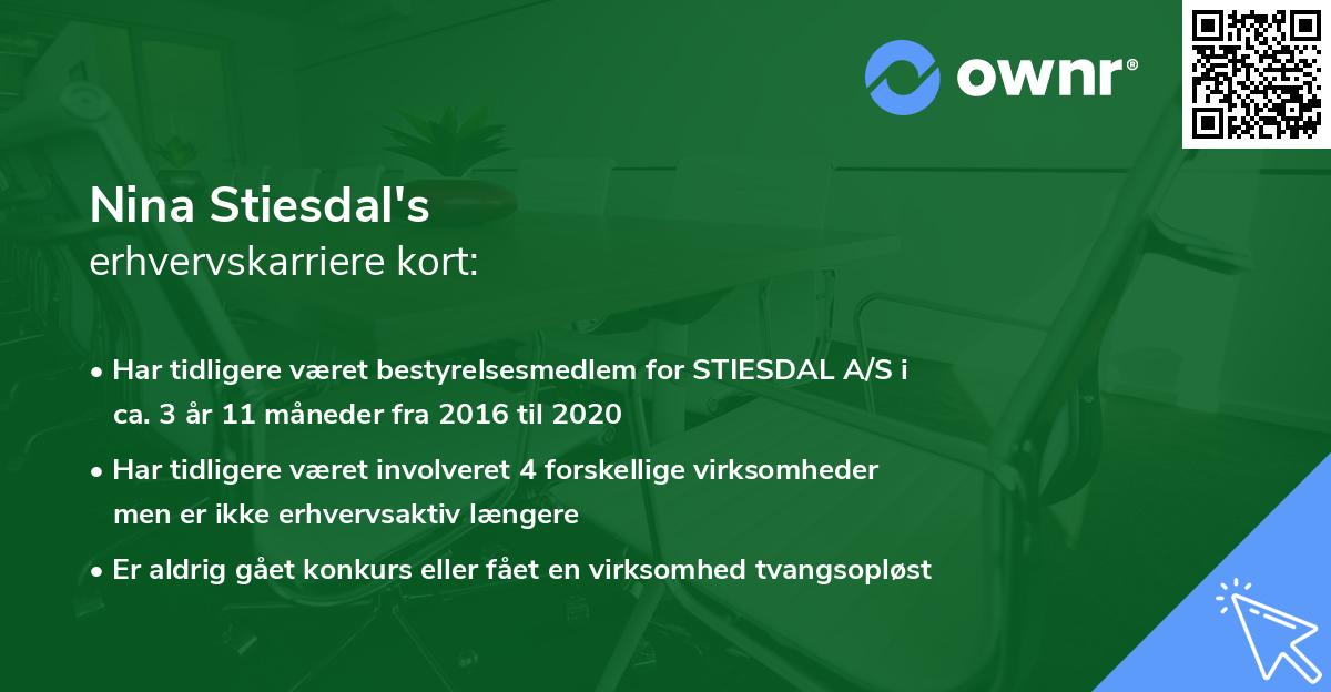 Nina Stiesdal's erhvervskarriere kort