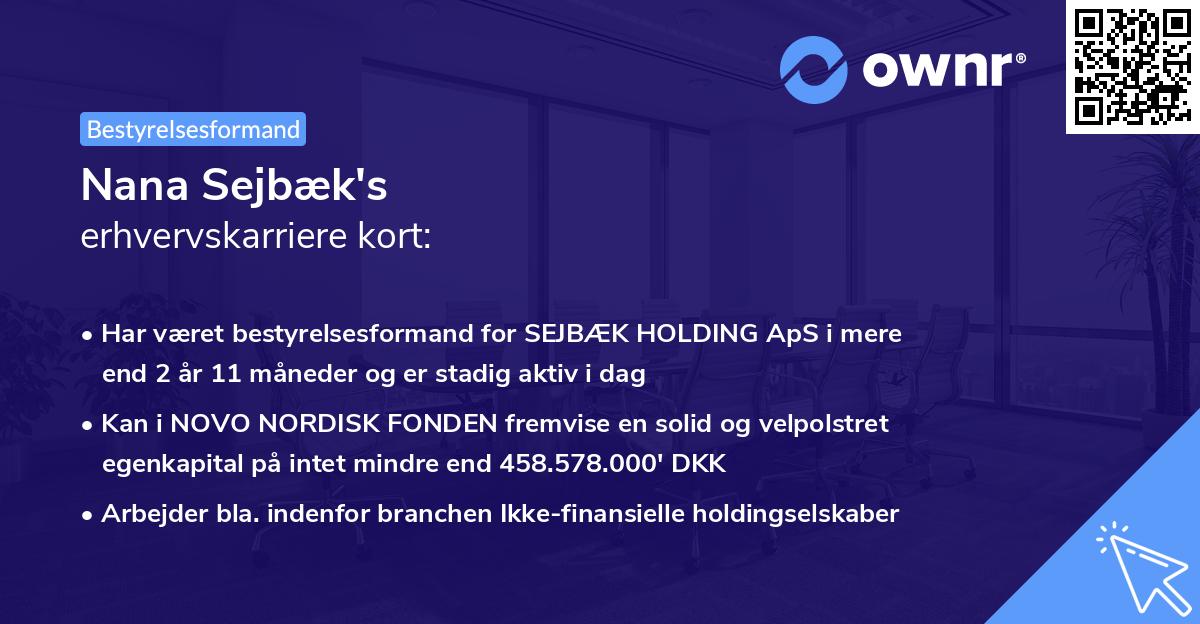 Nana Sejbæk's erhvervskarriere kort
