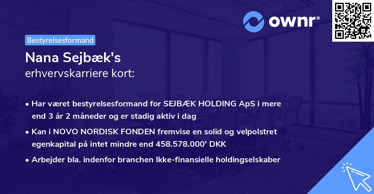 Nana Sejbæk's erhvervskarriere kort