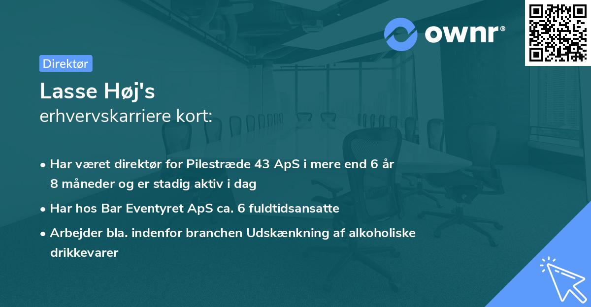 Lasse Høj's erhvervskarriere kort