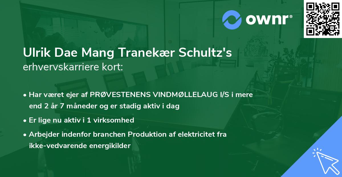 Ulrik Dae Mang Tranekær Schultz's erhvervskarriere kort