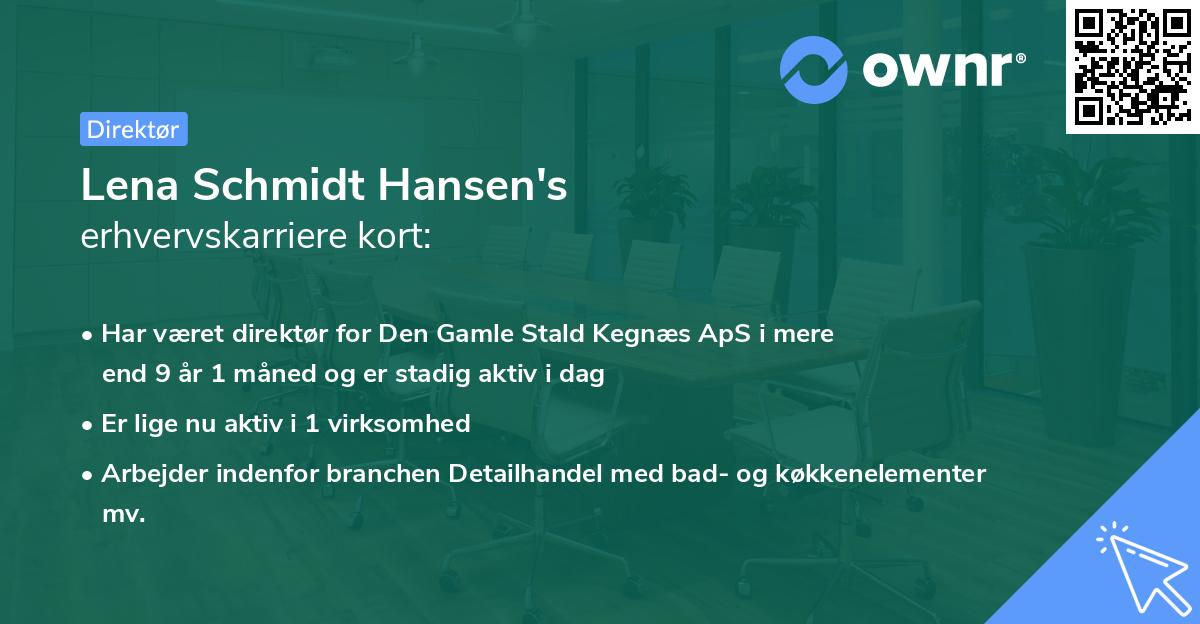 Lena Schmidt Hansen's erhvervskarriere kort