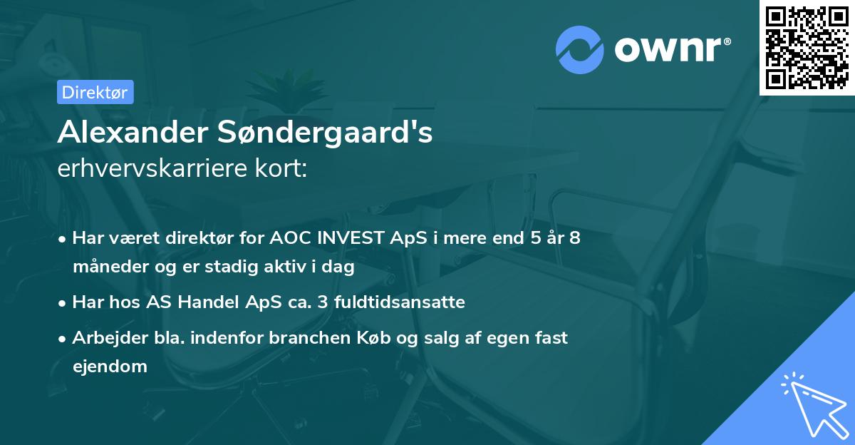 Alexander Søndergaard's erhvervskarriere kort