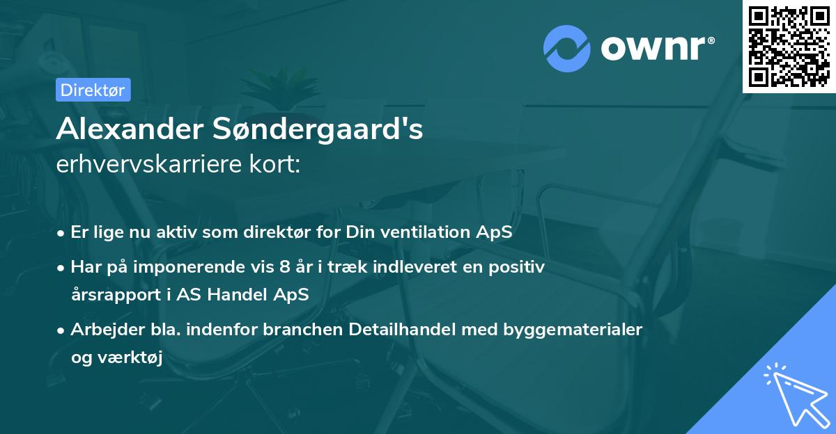 Alexander Søndergaard's erhvervskarriere kort