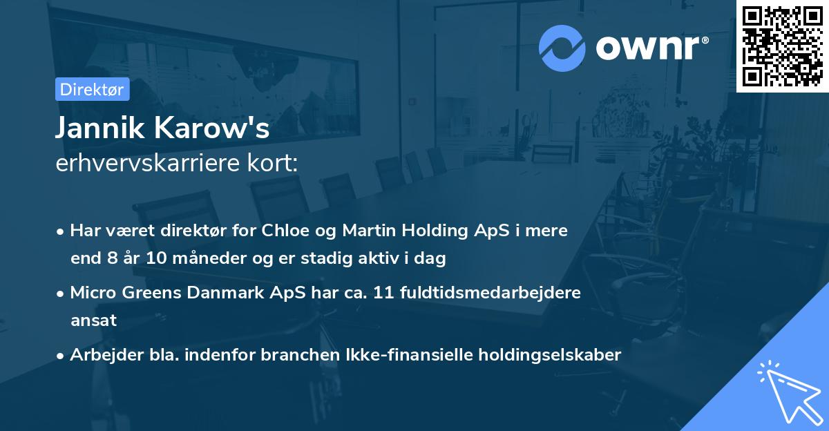 Jannik Karow's erhvervskarriere kort