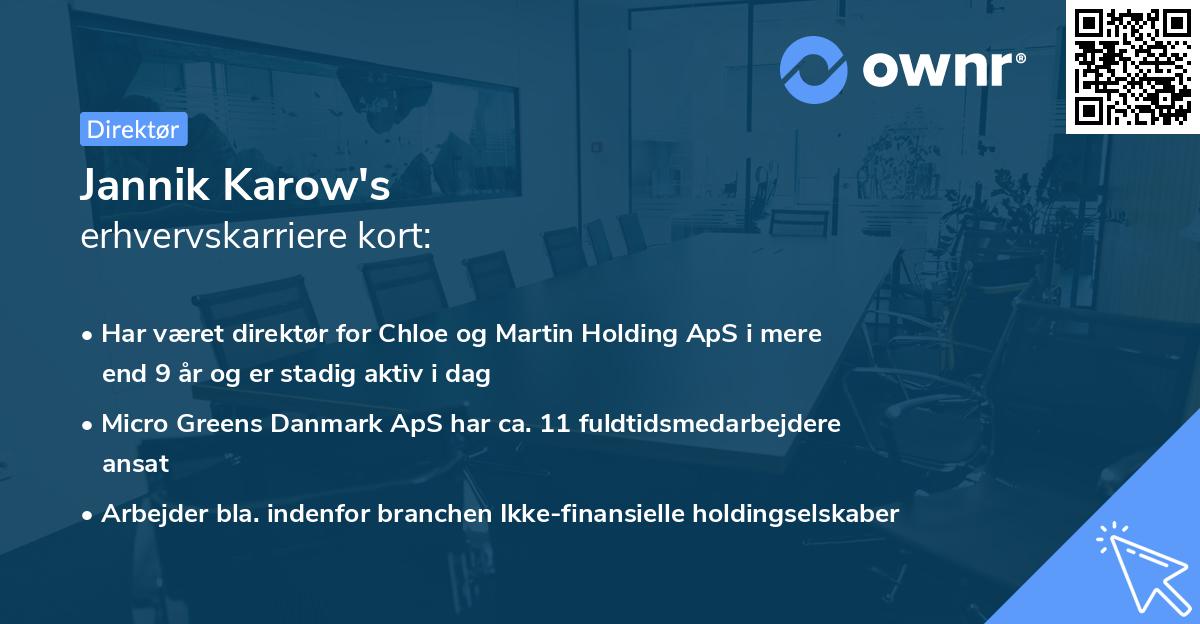 Jannik Karow's erhvervskarriere kort