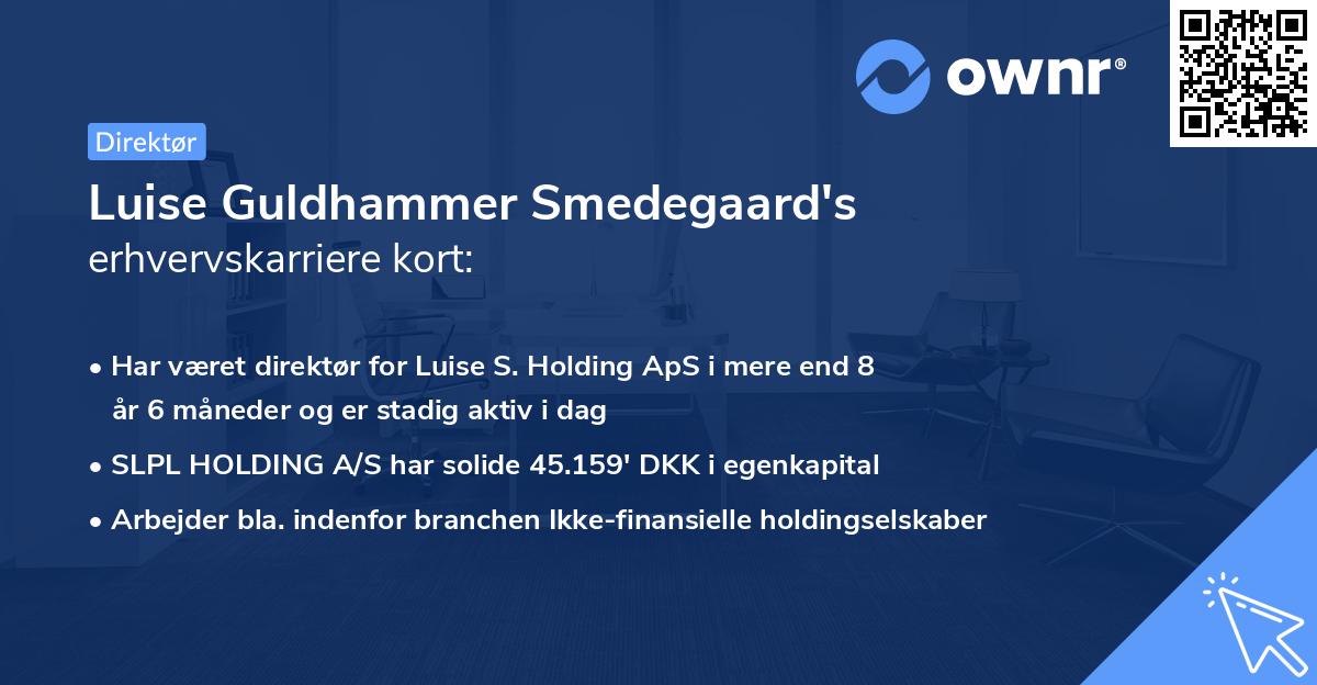 Luise Guldhammer Smedegaard's erhvervskarriere kort