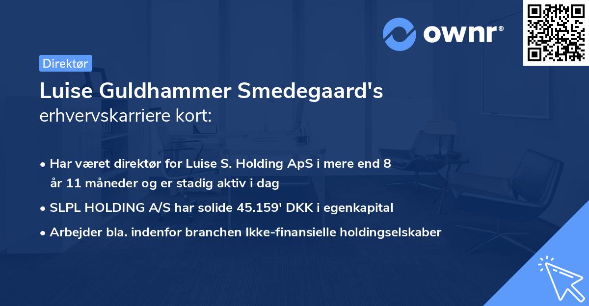 Luise Guldhammer Smedegaard's erhvervskarriere kort