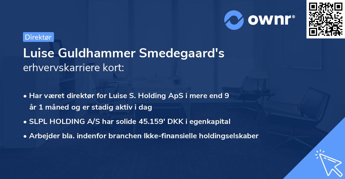 Luise Guldhammer Smedegaard's erhvervskarriere kort