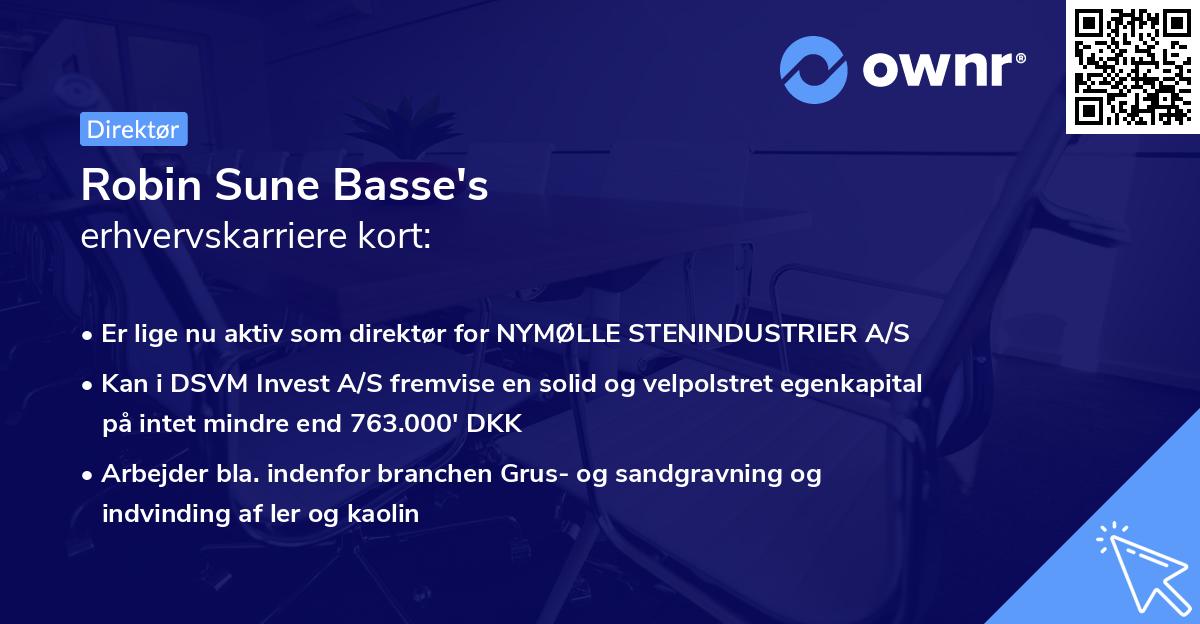 Robin Sune Basse's erhvervskarriere kort