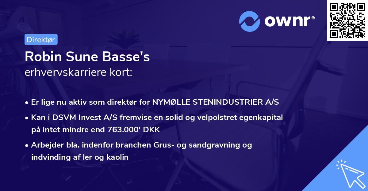 Robin Sune Basse's erhvervskarriere kort