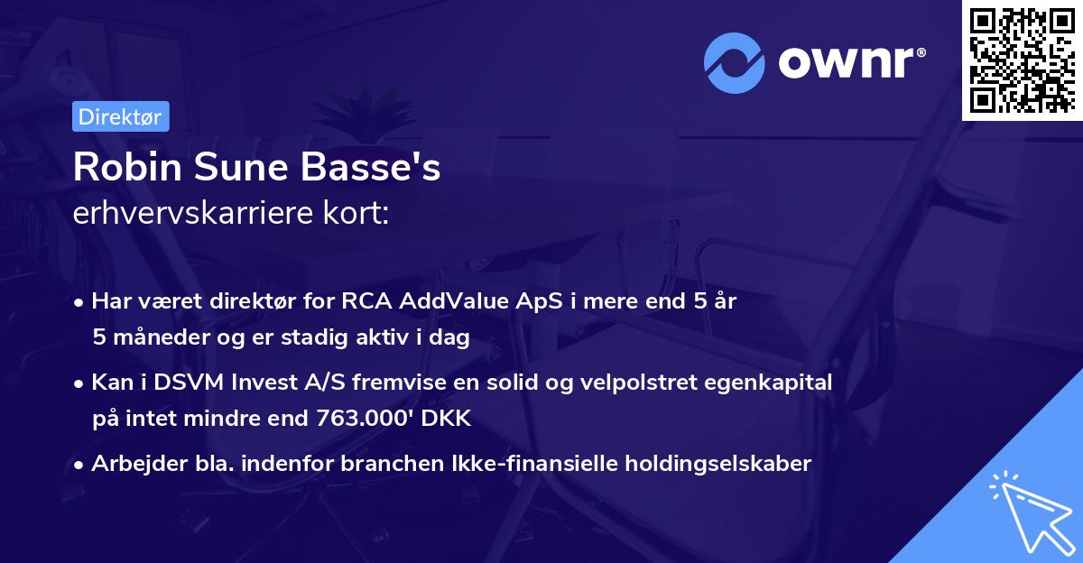 Robin Sune Basse's erhvervskarriere kort