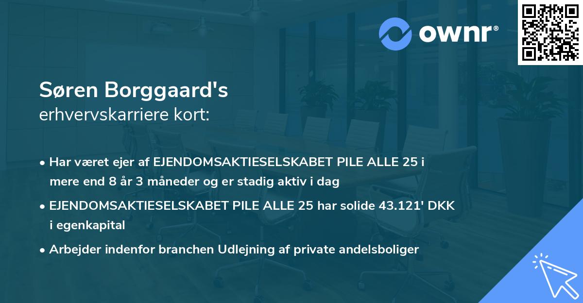 Søren Borggaard's erhvervskarriere kort