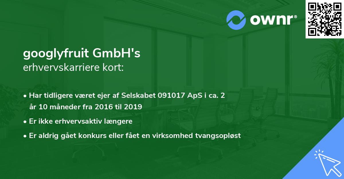 googlyfruit GmbH's erhvervskarriere kort