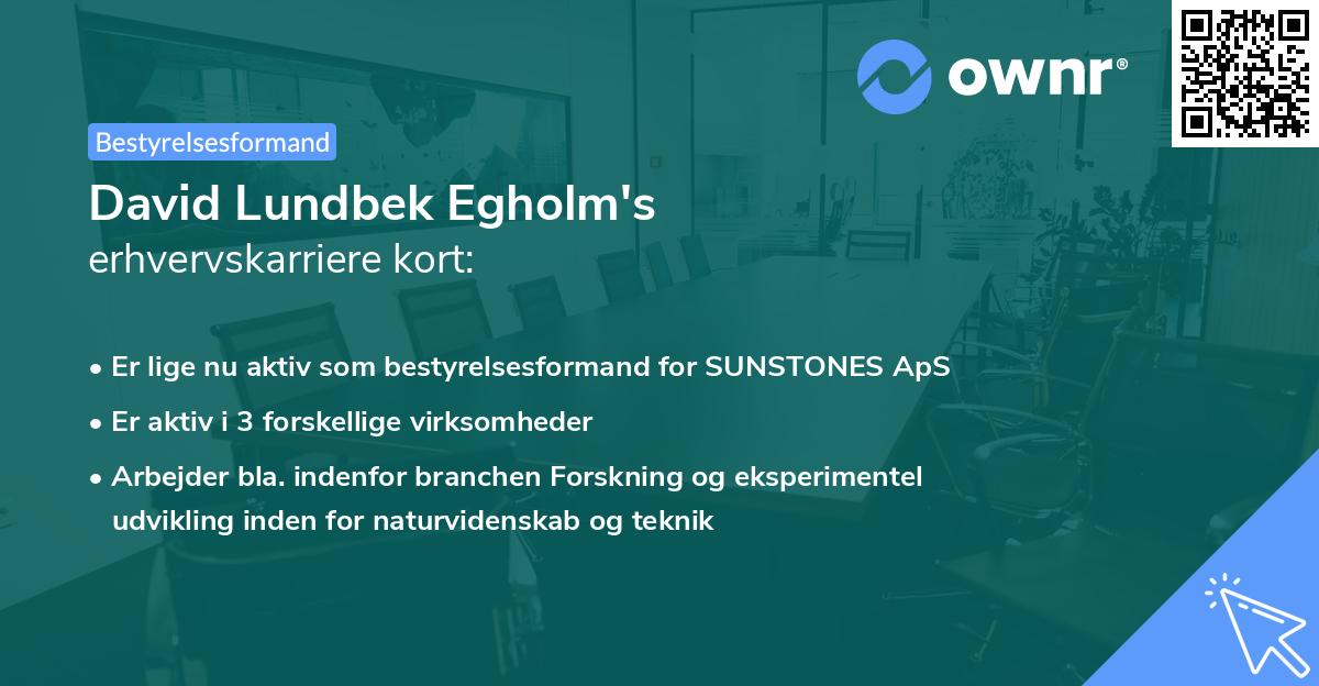 David Lundbek Egholm's erhvervskarriere kort