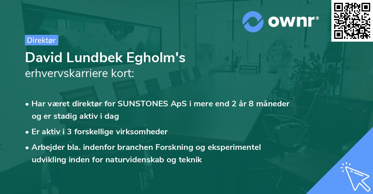 David Lundbek Egholm's erhvervskarriere kort